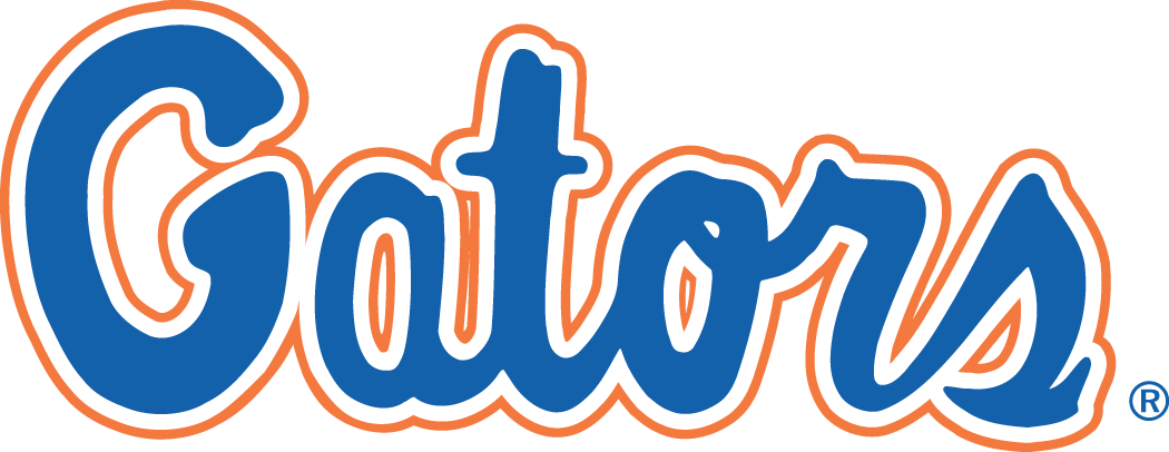 Florida Gators 1979-Pres Wordmark Logo v2 iron on transfers for fabric